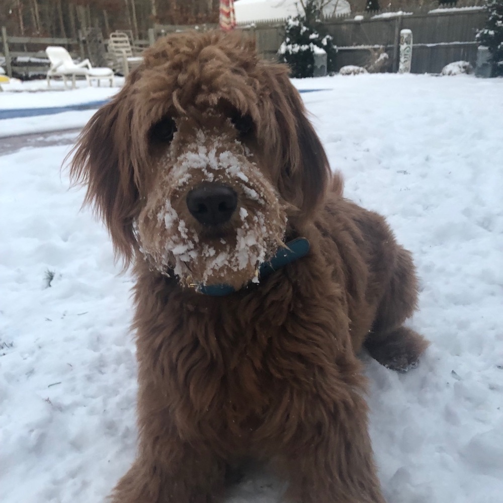 Meet your Posher, Rita